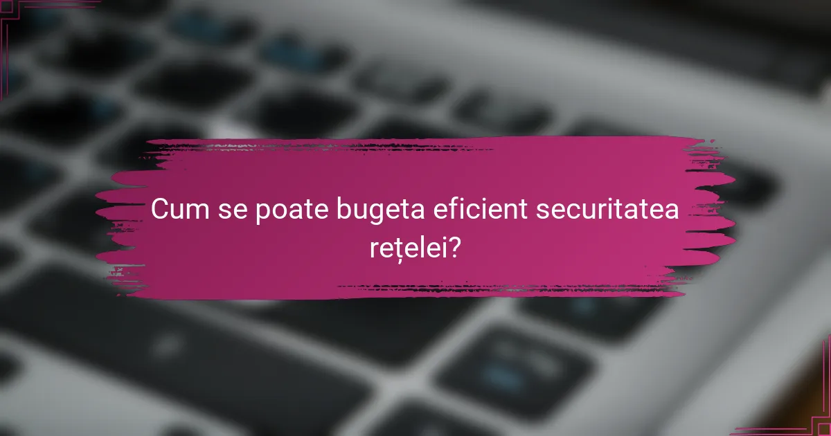 Cum se poate bugeta eficient securitatea rețelei?
