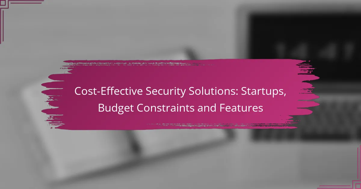 Soluții de Securitate Cost-Eficiente: Startup-uri, Constrângeri Bugetare și Caracteristici
