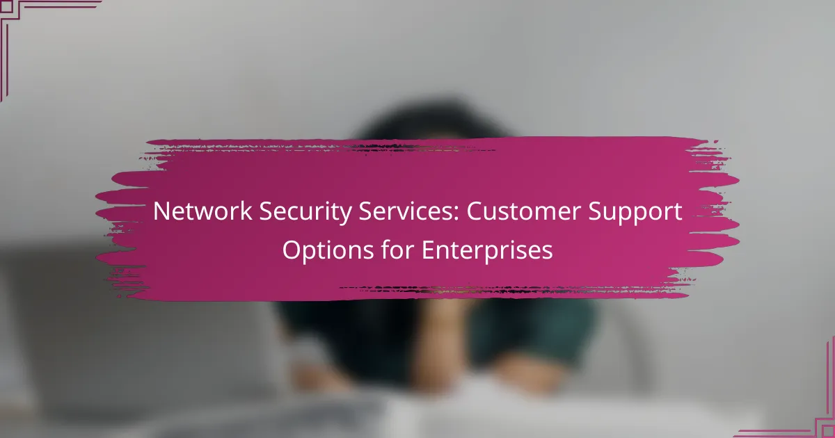 Servicii de securitate în rețea: opțiuni de suport pentru clienți pentru întreprinderi